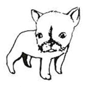 yS |Cg X^vz MTCY SFM-M05 gpɂ̓X^v䂪KvłBX^vy܉iz