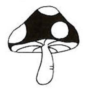 yS |Cg X^vz STCY SFM-S37 gpɂ̓X^v䂪KvłBX^vy܉iz