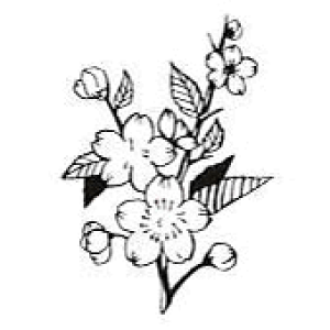 yS |Cg X^vz MTCY SFM-M50 gpɂ̓X^v䂪KvłBX^vy܉iz