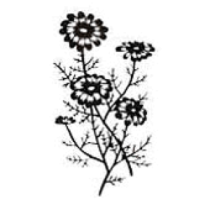 yS |Cg X^vz MTCY SFM-M51 gpɂ̓X^v䂪KvłBX^vy܉iz