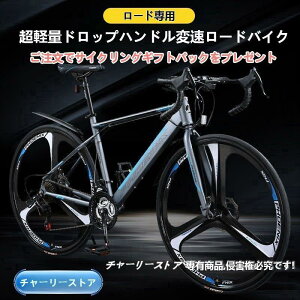 [hoCN y A~ 24iϑ fARg[o[ S GAnh ] { 700C }bgubN ʋ