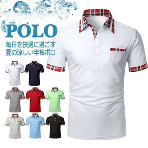  StVc StEGA Y |Pbg  Ђ 傫TCY N[rY rY| y y ʋC  St