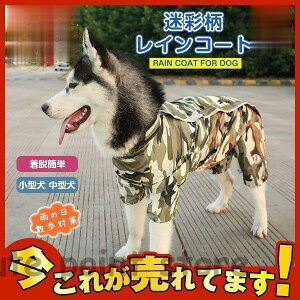  CR[g  ^p ʕ CJo[ hbOEFA CR[g ybgpi ^ ^ ^ Sg𕢂t