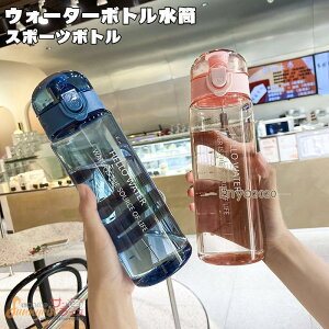 EH[^[{g X|[c{g ]ԗp{g hN{g  780mle g[jO {g ^ X|[c {g