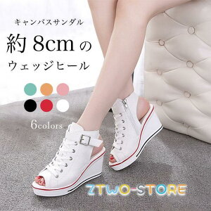 T_ EFbWT_ LoXT_ EFbW\[ fB[X 8CM  V[Y T}[T_ C ʋC ɂ