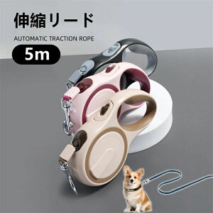 Lk[h JWA 召^i^܂ށj ̃[h ybgUp hbO[h  Ռz ^b`i[