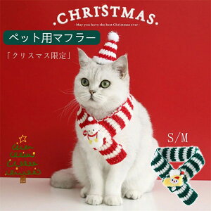 _2 100~^y~̕K{ACezL  }t[ ybgp}t[ ^ 킢  p}t[ lbNEH[}[ g