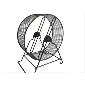 TCgzC[ nX^[񂵎 - jOzC[TCgX|[cjOzC[Ǌ| É񂵎 TCg