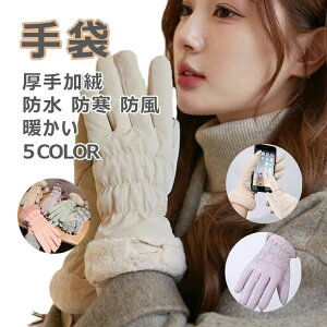 ~ X}zΉ 5{w ܂邱 O g h h h ۉ ]Ԃɏ XL[O[u ʋ ʊw 