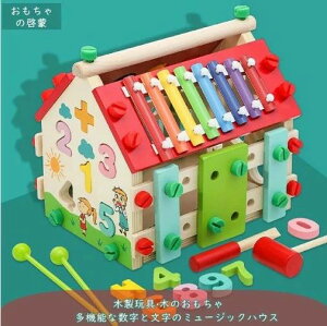 知育玩具 木のおもちゃ 学習玩具 女の子 男の子 玩具 おもちゃ 指先レッスン 男の子 女の子 出産祝い ギフト 0歳 1歳 1歳半 2歳 3歳 4歳