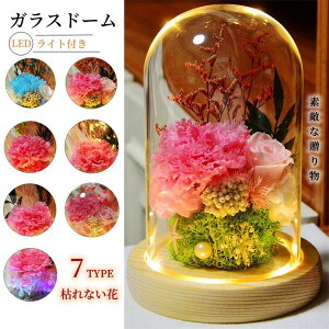 vU[uht[ ̓ t[Mtg KXh[ LEDCgt J[l[V [Y t[AW ͂Ȃ