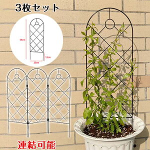  K[ftFX gXEtFX A\ 3P 20×58cm 3g ACA  KD