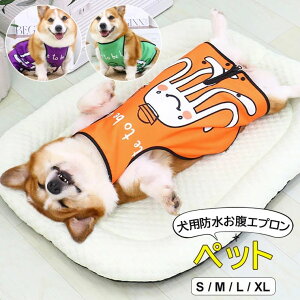 ybgp Jbp J CGv ^ ʋChbOEGA h Gv ی D悯 pGv ?3FWJ