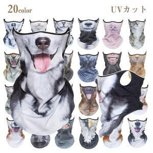 􂦂 Y fB[X UVJbg lbNJo[ ʔ  q T vg tFCXK[h AEghA St   b