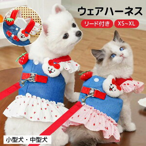 ĕ n[lX [ht s[X 킢 fj Ȑ ^ ^ wJ  XJ[g   ʋC EFA