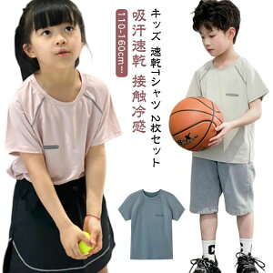 eBV ڐG⊴ z g[jOEFA X|[ctVc q j̎q ̎q hCTVc  TVc  LbY