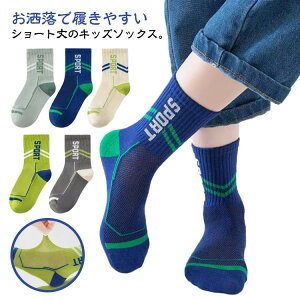 ۈ  ʋC   bV ct  ̎q q LbY \bNX H 5Zbg qpC  q 킢