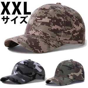 ΍L Xq Y oPbgnbg Lbv rbNTCY 傫lOK Lbv A[~[  Jt