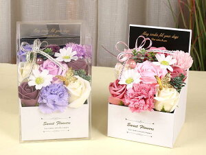  t[Mtg ϗtA J[l[V KN o 킢 \[vt[ V{t[ Mtg  v[g