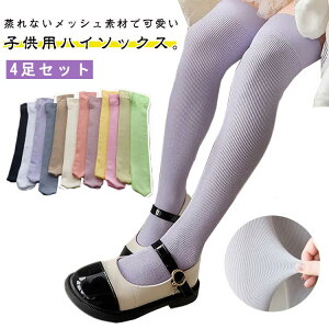 q  \bNX   n ΍ xr[  G nC\bNX C  q bV ̎q C LbY