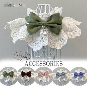 �t���� �������[�X ����� �t���� ���^�� �L�p ��� �A�N�Z�T���[ �p�[���t�� ���[�X