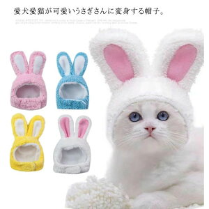   Ԃ蕨 EȒP RX`[ CX^f ANZT[  Ck lR L  ybgpnbg ̎ Xq