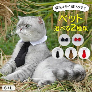 U LOBe  t `FbN JK zF oCJ[ Lp  ANZT[ lN^C Lp lN^C ybgpX^C