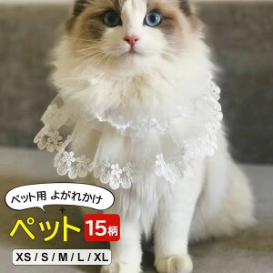 t [X `FbN   t ^ Lp t[  { [X  ybgp  ANZT[ 悪ꂩ