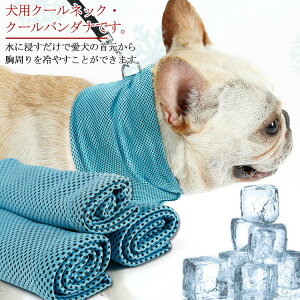 �M ��^�� ���^�� ���^�� �N�[�� �����΍� �Ђ��� �N�[���l�b�N �X�J�[�t �N�[�� �o���_�i �� �N�[���X�J�[�t �N�[���o���_�i