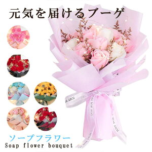 L \ a u[P J[l[V o Ǝ Əj  ̓ Mtg v[g LEDCg ԑ \[vt[