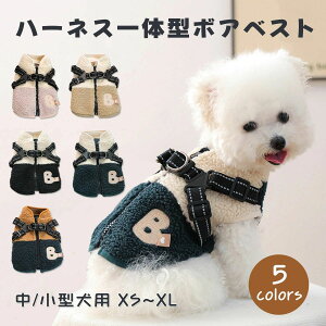 xXg ~ {A g n[lX̌^ wJ {AxXg R[g ^ ^ Vo[ WPbg AE^[ g DJ