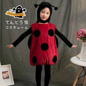 ʐ^Bep Xqt   nEB[ߑ ̎q j̎q q ߑ nEB ĂƂ RX`[  