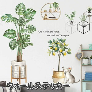 V 傫 [t V̗t p Aؔ A  lR L ˂ ϗtA R t t ǎV[  EH[XebJ[