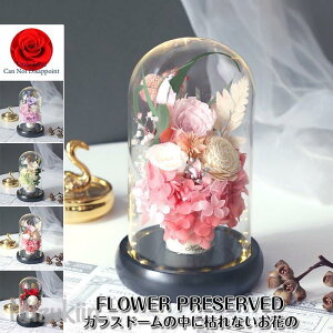 LO a \  {g iCgCg ỉ ͂Ȃ jv[gKX Mtg ̓ {gt[