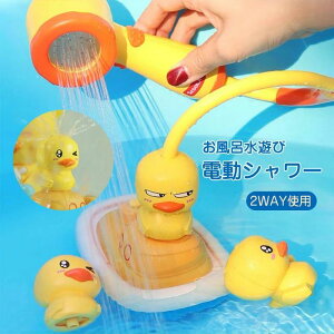 V[ C qp  dV[ 2WAYgp V  LbY  C c p ӂ̂