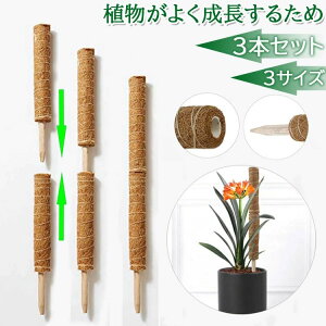 RRib ؐ  A Ԃ  K[f Ax |gX |x  RRibc x Xe RRXeBbN