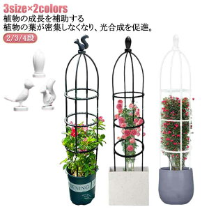 |pi  鐫A v^[ IxXN  AT|[g ߉\ Ԏx 2/3/4i x ȒP  IxXN