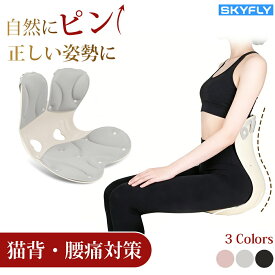 ＼整体師推薦／姿勢サポート チェア 椅子 姿勢矯正 骨盤矯正 クッション 姿勢矯正イス 姿勢矯正クッション 骨盤サポートチェア 姿勢矯正 椅子 子供 座椅子 ゆがみ 解消 改善 腰痛 猫背 骨盤矯正 グッズ オフィス 在宅ワーク デスクワーク 姿勢矯正 椅子 車
