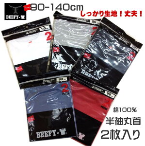 �y���[���֑�������?�z2���g�@Hanes BEEFY-T�̖�100������T�V���c