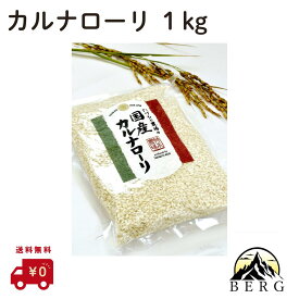 ＜最安値に挑戦☆/ 最強配送対応 / 即日出荷 /送料無料 ＞ 選べるセット たけもと農場 石川県産 国産カルナローリ （イタリア米） 白米 1kg 安心安全 正規流通品