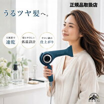 楽天市場】レプロナイザー 2d plus ヘアドライヤーの通販