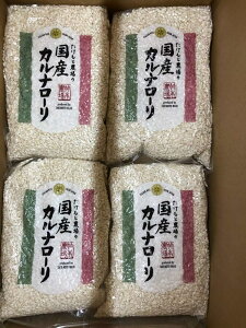 Ɣ_ ΐ쌧Y YJi[ iC^Aāj (10kgi1kg×10pcj)