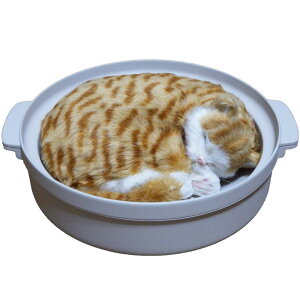 ^lRxbh lRxbh q[^[Œg ybgq[^[ lRxbh x߉\ 20^30 G̏̒g