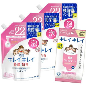 y򕔊OizLCLC p Anh\[v VgXt[eB̍ lւp 450~bg (x 3)