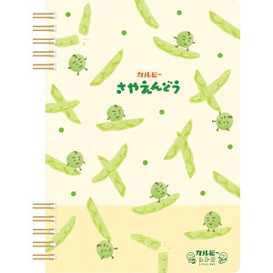 Ð쎆H m[g Jr[g Om[g B6 ₦ǂ XH25