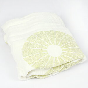 GCf AhAlC Aden+Anais I[KjbN xr[V[c IAVX 9191 oasis organic changing pad cover