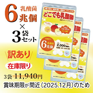 y󂠂54OFFzܖ߂߁i2025N12jy3܃ZbgE_ۃ^ubgExg[`FAi6^30jz1Ń[Og20̓_ۂۂI EF-2001 _ { T