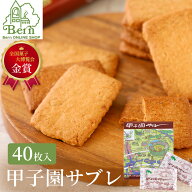 【TVで紹介されました！】【阪神甲子園球場認定スイーツ】甲子園サブレ（40枚入り） サブレ クッキー ス…