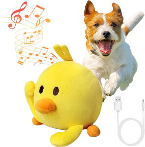   {[   {[ d{[ ʂ mߋ _炩 e{[ h  ȒP ^s g[jO sǉ XgX