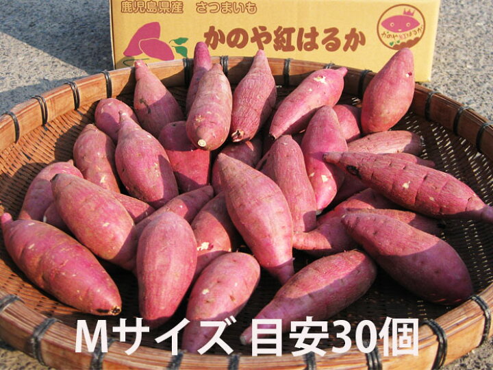 楽天市場 鹿児島のさつまいも べにはるか ５kg サイズが選べる ｍ ｌ ２ｌ 熟成 紅はるか ベリーファインファーム 鹿児島
